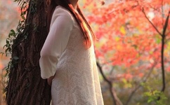 午夜dj视频在线观看直播